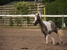 IMG_0712_web